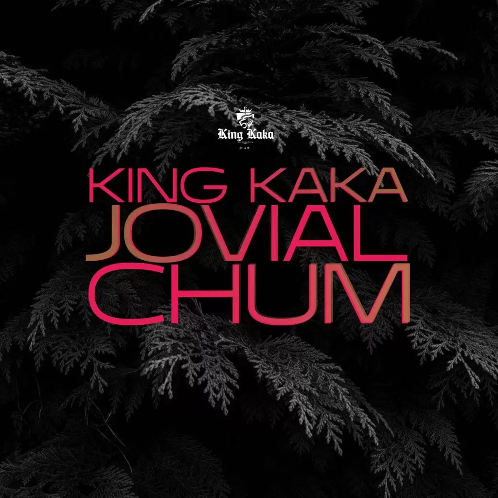 Audio Song | King Kaka Ft Jovial – Chum