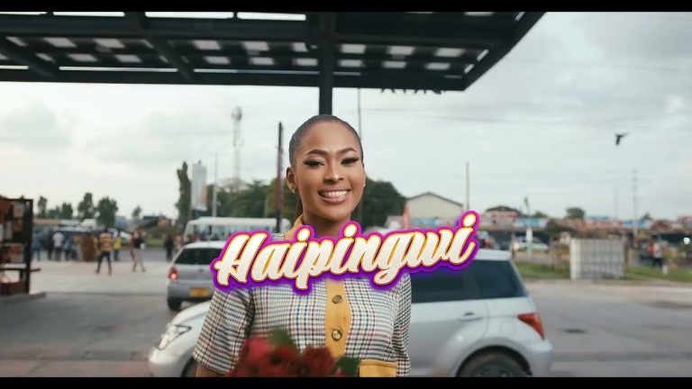 Music Video | Dicky Ability – Haipingwi