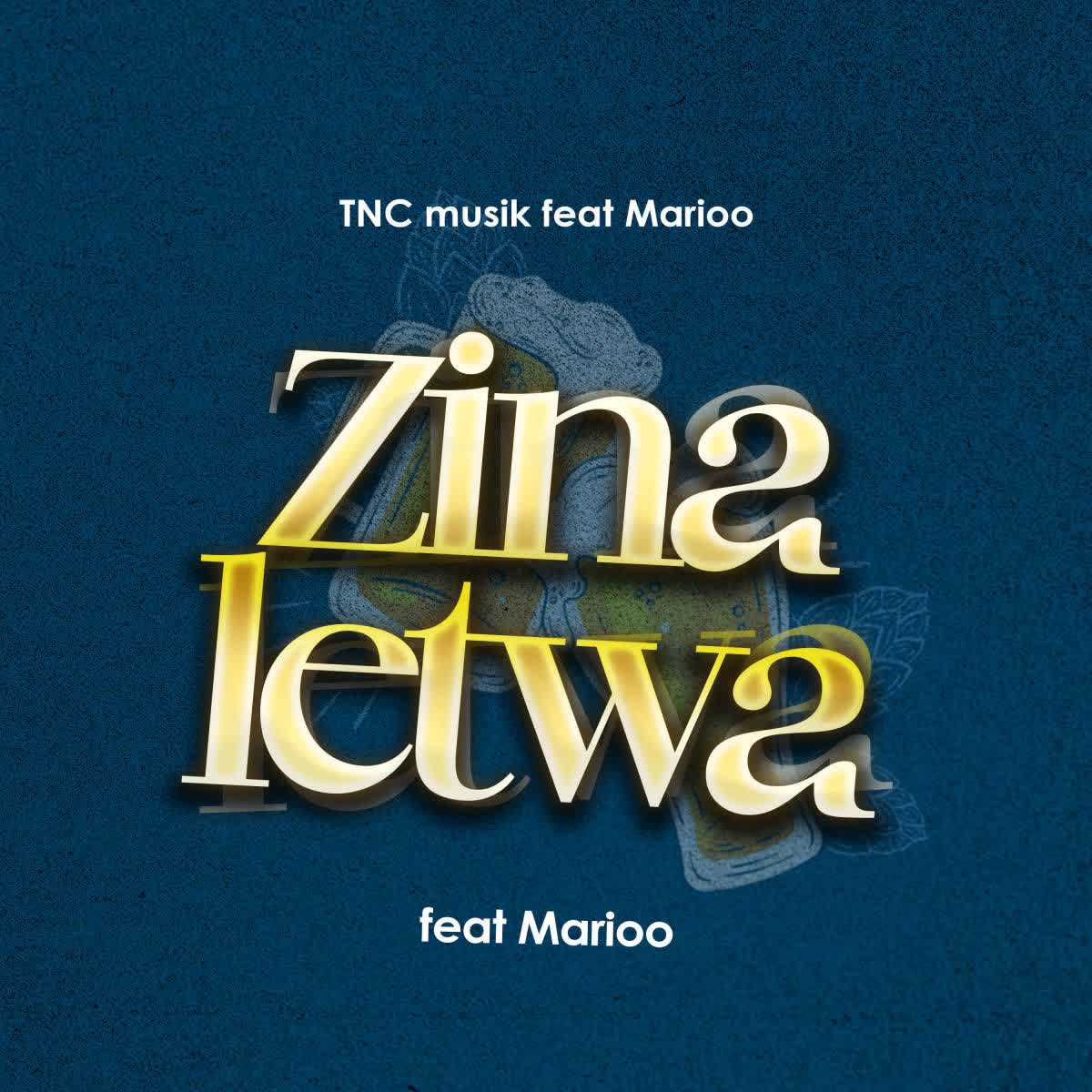 Audio Song | TNC Ft. Marioo – Zinaletwa