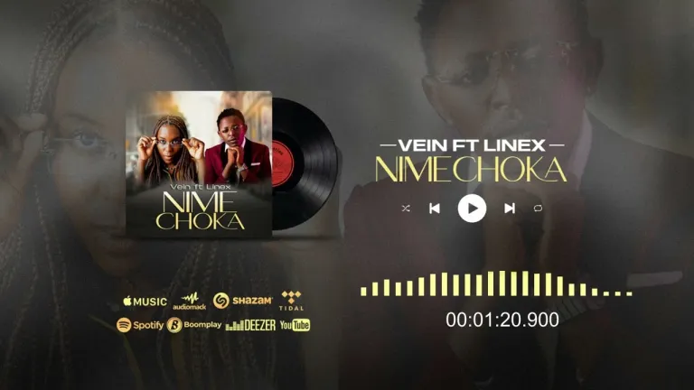 Audio Song | Vein ft Linex Sunday – Nimechoka