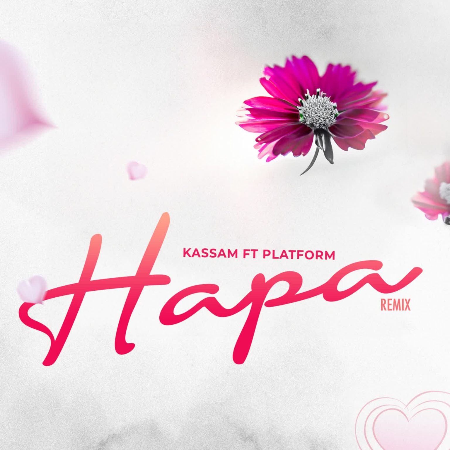 Audio | Kassam Ft. Platform – Hapa Remix