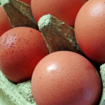 What happens to your health if you eat Eggs every day