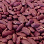 Top 15 reasons why you shoud Eat beans