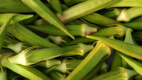 okra