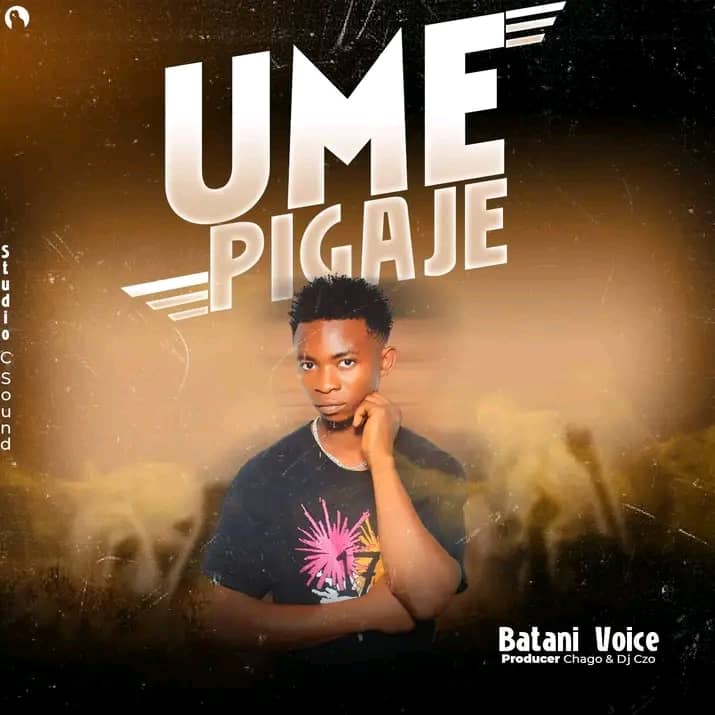 Audio | Batani Voice – Umepiga jee