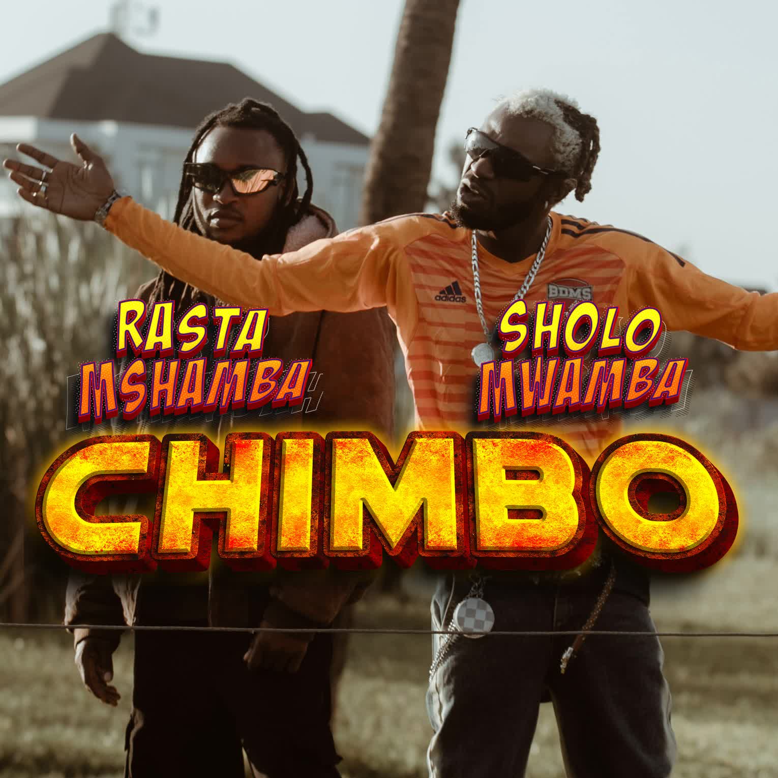 Audio | Rasta Mshambah Ft. Sholo Mwamba – Chimbo