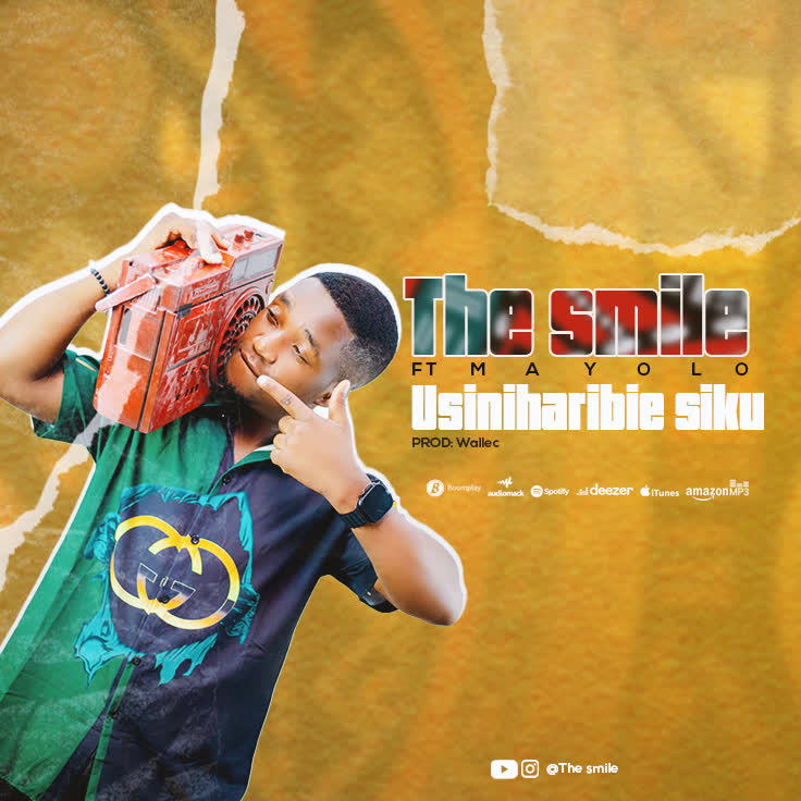 Audio | The Smile ft Mayolo – Usiniharibie